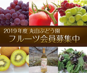 2019フルーツ会員